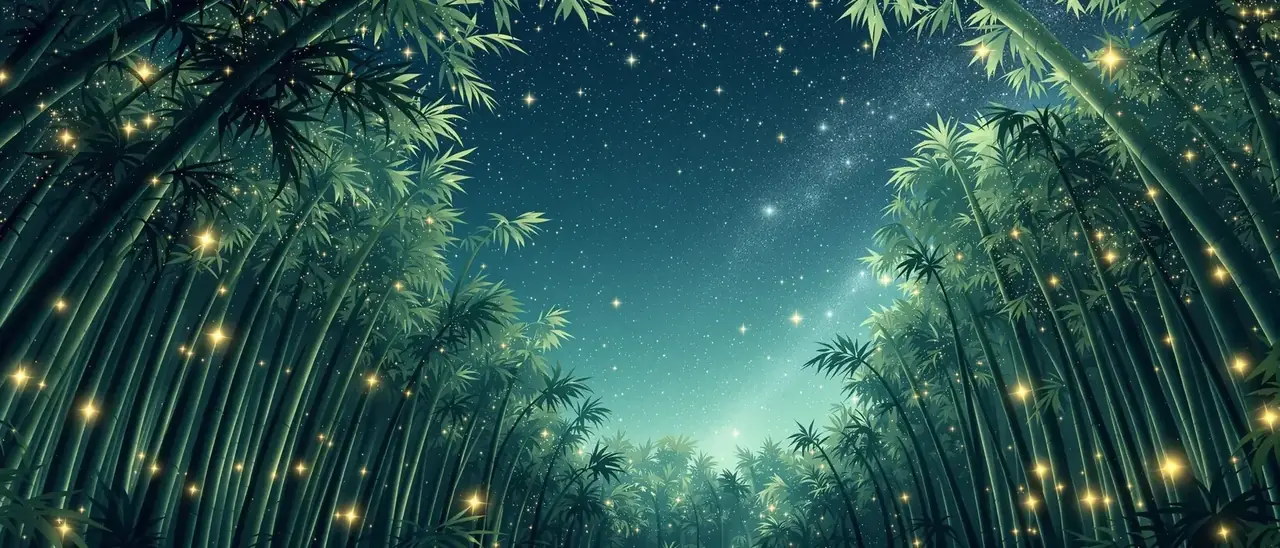 星河入梦 - 小岛电影精选影像